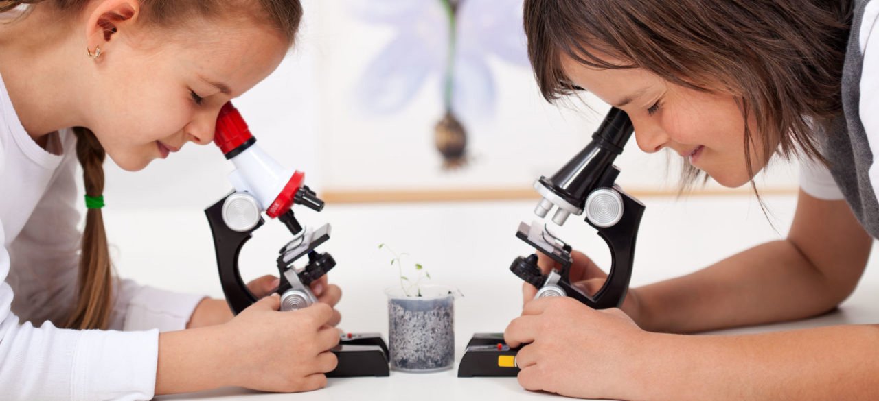 микроскопы детские в Пскове